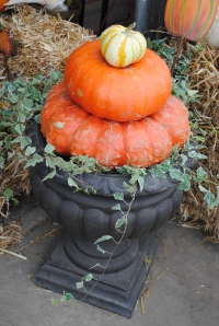 Pumpkins Stacked in Urn