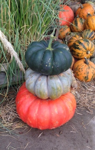 Colored Pumpkin Stack