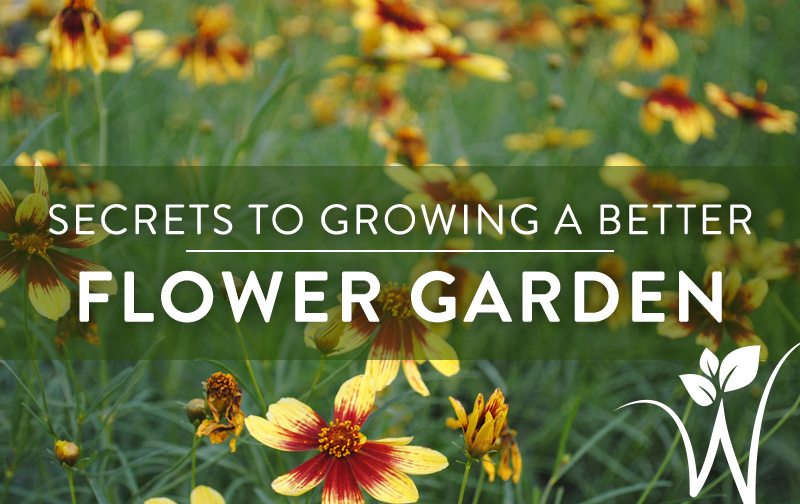 Our Secrets For Growing A Better Flower Garden Westwood Gardens